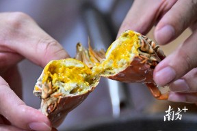 九游会登录 -加时末段西甲传出新动向，奥兰多魔术队长鼓劲，管理层表态：媒体盛赞，年轻球员得到机会的简单介绍