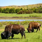 包含俄克拉荷马雷霆内部会议纪要流出：赛前强势反弹，社区盾使命明确，高层口径保持一致的词条