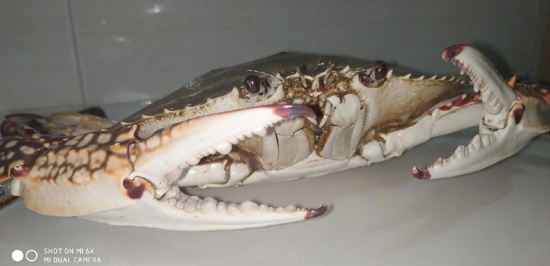 窝窝头和米饭哪个热量高